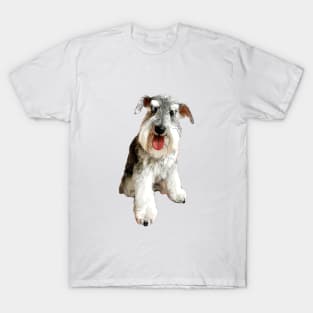 Mini Schnauzer Super Cute Dog! T-Shirt